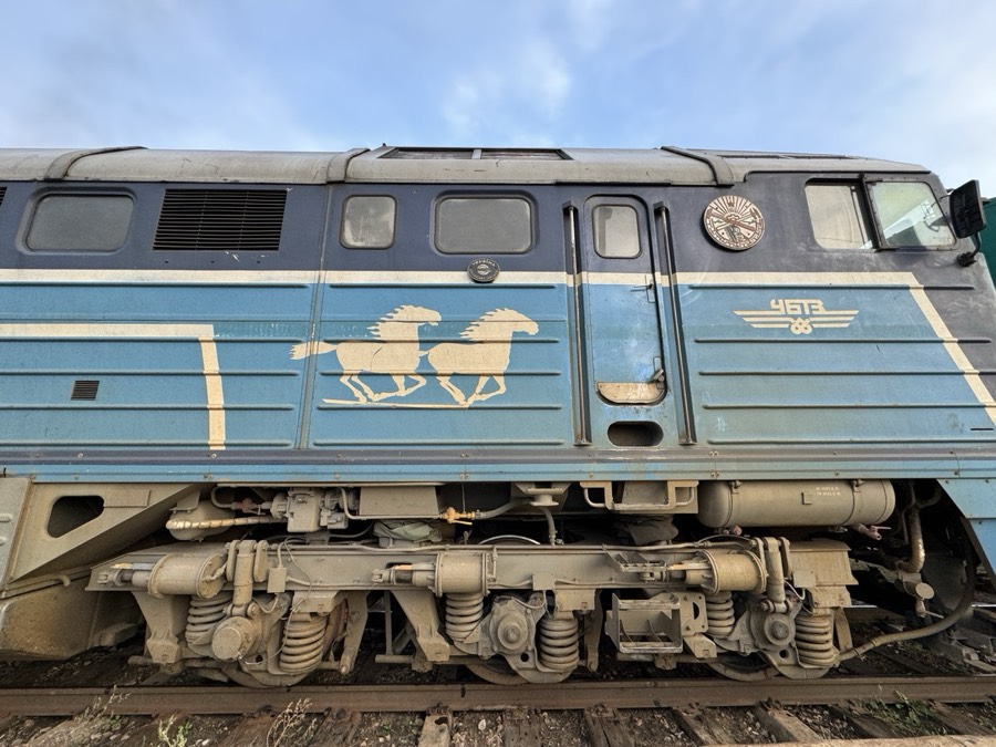 草原を走る列車と馬